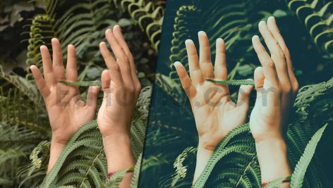 دانلود پریست رنگی LUT سبز برای پریمیر پرو green presets luts premiere