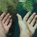 دانلود پریست رنگی LUT سبز برای پریمیر پرو green presets luts premiere