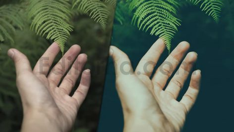 دانلود پریست رنگی LUT سبز برای پریمیر پرو green presets luts premiere