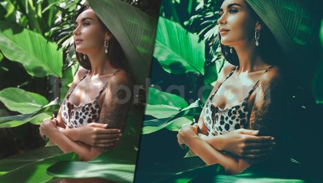 دانلود پریست رنگی LUT سبز برای پریمیر پرو green presets luts premiere