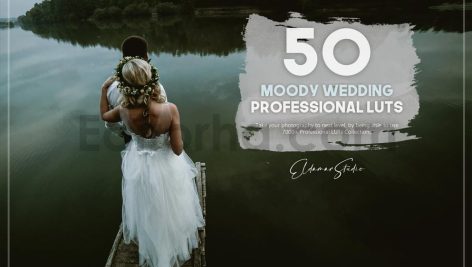 دانلود 50 پریست LUT رنگی عروسی 50 moody wedding luts pack