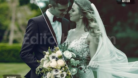 دانلود 50 پریست LUT رنگی عروسی 50 moody wedding luts pack