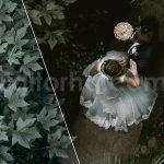 دانلود 50 پریست LUT رنگی عروسی 50 moody wedding luts pack