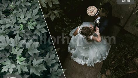 دانلود 50 پریست LUT رنگی عروسی 50 moody wedding luts pack