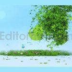 دانلود پروژه آماده افترافکت: لوگوموشن طبیعت بهاری همراه با موسیقی Nature Logo Reveal