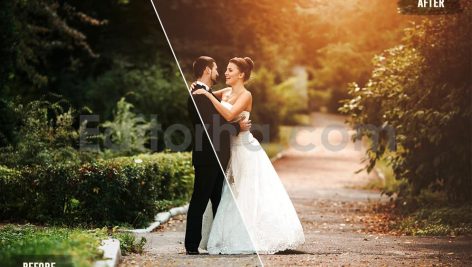 دانلود 50 پریست LUT رنگ عروسی 50 perfect wedding luts pack