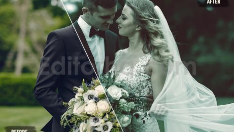 دانلود 50 پریست LUT رنگ عروسی 50 perfect wedding luts pack