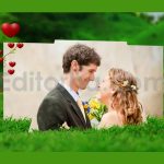 دانلود پروژه آماده پریمیر: اسلایدشو سه بعدی عروسی Wedding slideshow pro