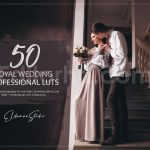 دانلود 50 پریست LUT رنگی برای عروسی های سلطنتی royal wedding luts