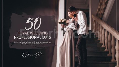 دانلود 50 پریست LUT رنگی برای عروسی های سلطنتی royal wedding luts