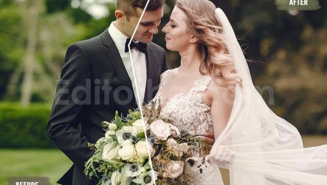 دانلود 50 پریست LUT رنگی برای عروسی های سلطنتی royal wedding luts