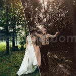 دانلود 50 پریست LUT رنگ سپیا برای عروسی 50 sepia wedding luts pack