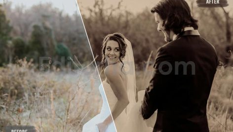 دانلود 50 پریست LUT رنگ سپیا برای عروسی 50 sepia wedding luts pack