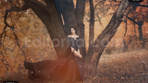 دانلود 50 پریست LUT تم قدیمی 50 vintage vibes luts pack