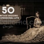دانلود 50 پریست رنگی LUT کلاسیک برای عروسی vintage wedding luts