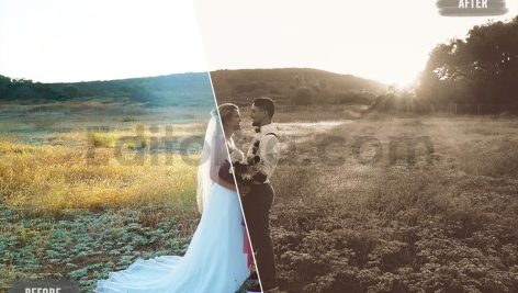 دانلود 50 پریست رنگی LUT کلاسیک برای عروسی vintage wedding luts