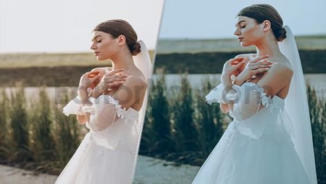 دانلود پریست اصلاح رنگ عروسی برای پریمیر پرو