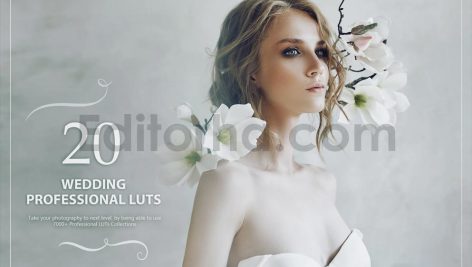 دانلود 20 پریست رنگی LUT برای عروسی 20 wedding luts pack