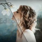 دانلود 20 پریست رنگی LUT برای عروسی 20 wedding luts pack