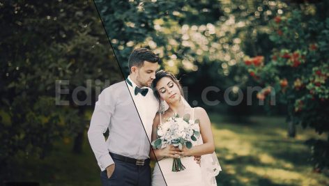 دانلود 20 پریست رنگی LUT برای عروسی 20 wedding luts pack