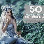 دانلود 50 پریست رنگی LUT حرفه ای عروسی 50 wedding portrait luts pack