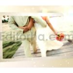 پروژه آماده افترافکت: اسلایدشو خاطرات عروسی Memories Slide Show
