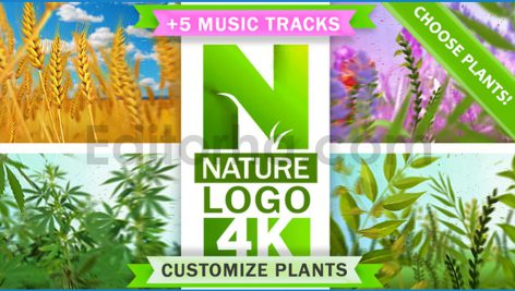 دانلود پروژه آماده افترافکت: لوگو طبیعت Nature Eco Plants Logo