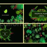 دانلود پروژه آماده افترافکت: پکیج رویش گل و گیاه Tropical Plant Pack