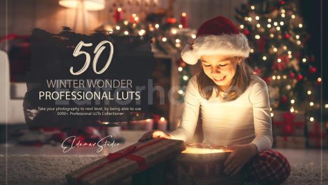 دانلود 50 اکشن فتوشاپ و پریست LUT زمستانی winter wonder luts and presets