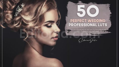 دانلود 50 پریست LUT رنگ عروسی 50 perfect wedding luts pack