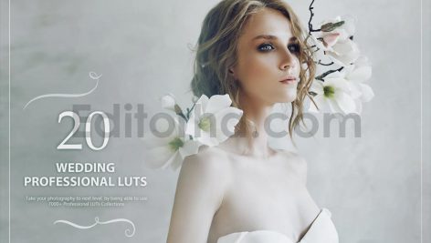 دانلود 20 پریست رنگی LUT برای عروسی 20 wedding luts pack