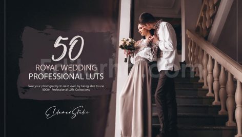 دانلود 50 پریست LUT رنگی برای عروسی های سلطنتی royal wedding luts