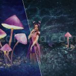 دانلود 50 پریست رنگی LUT رویایی 50 dreamscapes lut and presets collection