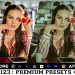 دانلود پریست فیلم لایت روم LUT برای پریمیر پرو film lightroom presets luts