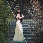 دانلود 50 پریست رنگی LUT رویایی 50 dreamscapes lut and presets collection