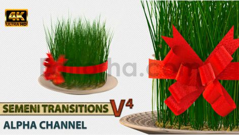 دانلود فوتیج ترانزیشن آلفا با موضوع سبزه عید Semeni Transitions