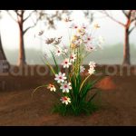 فوتیج شکوفایی بهاری بوته گل‌