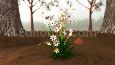 فوتیج شکوفایی بهاری بوته گل‌