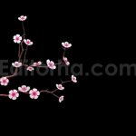 فوتیج آلفا شکوفه های درخت گیلاس