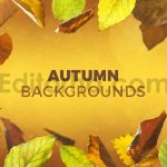 دانلود 8 بک گراند برگ های پاییزی Autumn Backgrounds