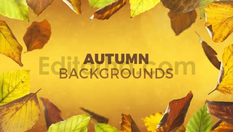 دانلود 8 بک گراند برگ های پاییزی Autumn Backgrounds