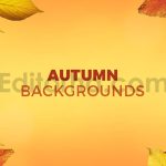 دانلود 8 بک گراند برگ های پاییزی Autumn Backgrounds