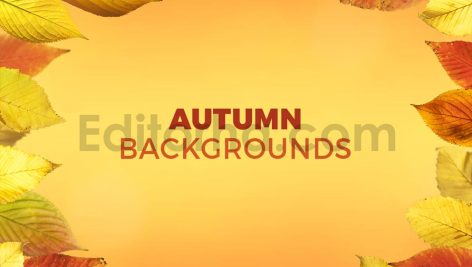 دانلود 8 بک گراند برگ های پاییزی Autumn Backgrounds