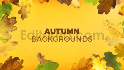 دانلود 8 بک گراند برگ های پاییزی Autumn Backgrounds
