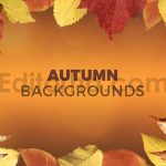 دانلود 8 بک گراند برگ های پاییزی Autumn Backgrounds