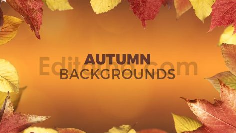 دانلود 8 بک گراند برگ های پاییزی Autumn Backgrounds