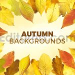 دانلود 8 بک گراند برگ های پاییزی Autumn Backgrounds