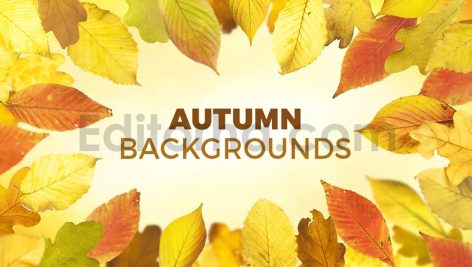 دانلود 8 بک گراند برگ های پاییزی Autumn Backgrounds