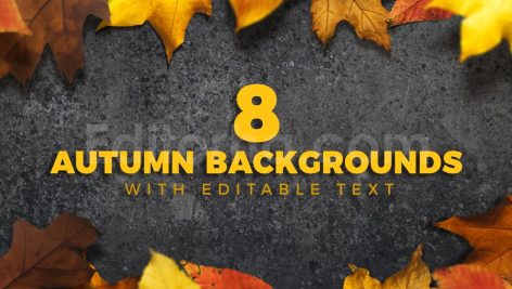 دانلود 8 بک گراند برگ های پاییزی Autumn Backgrounds