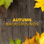 دانلود 8 بک گراند برگ های پاییزی Autumn Backgrounds